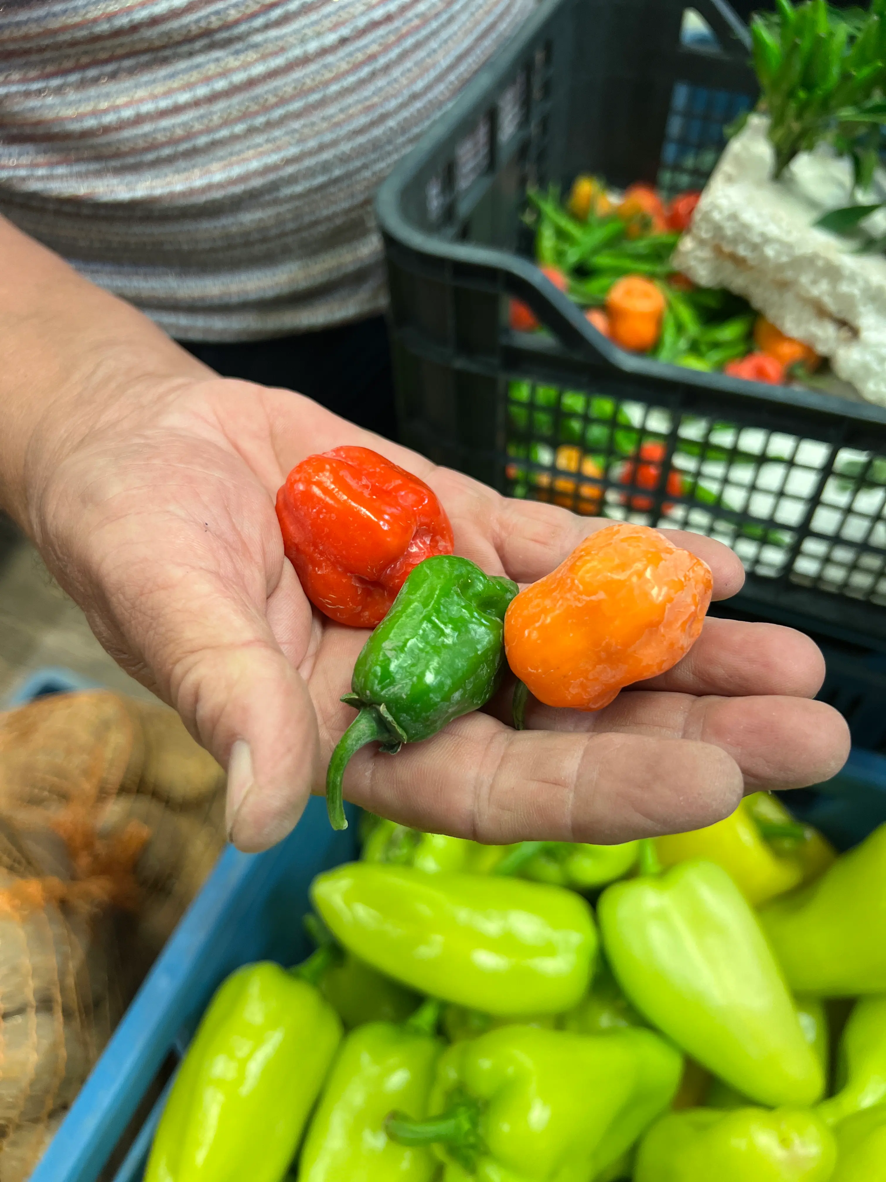 Tržnica Michalovce – detail čerstvej zeleniny na pulte