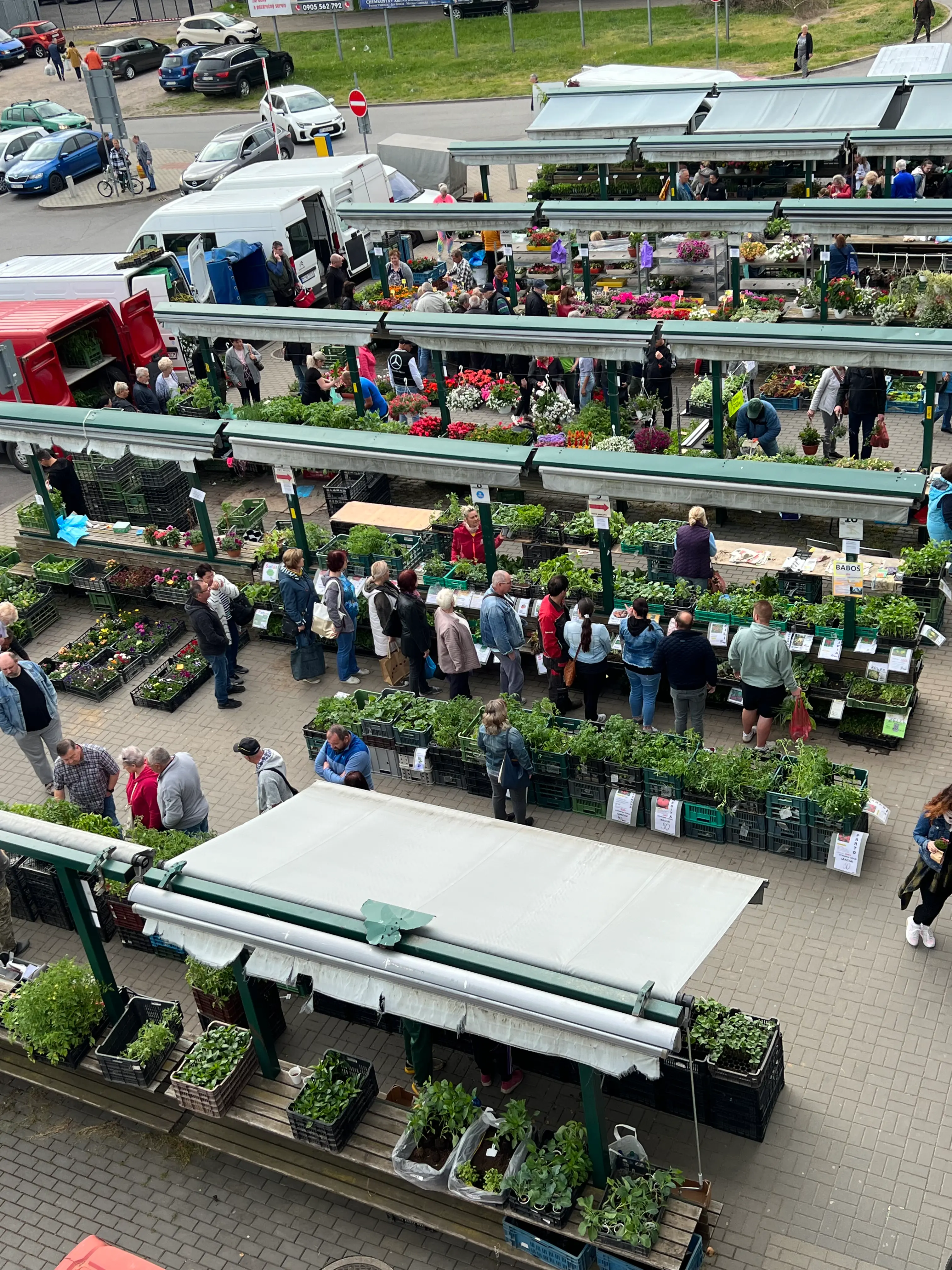Tržnica Michalovce – kvety a okrasné rastliny od pestovateľov